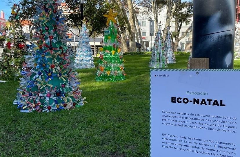 Eco-Natal 2021 Já votou na sua árvore preferida