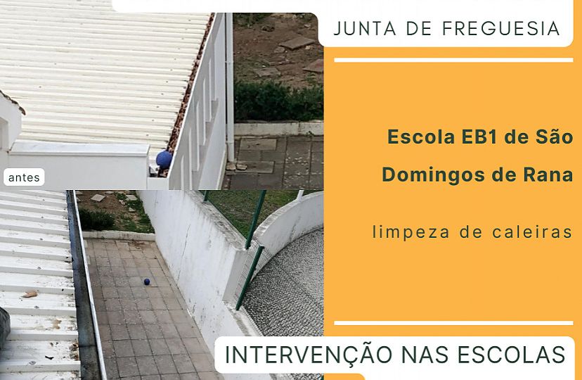 Limpeza de caleiras nas escolas da freguesia1
