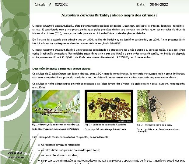 DRAPLVT divulga alertas fitossanitários1