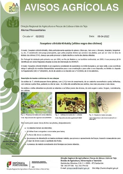 DRAPLVT divulga alertas fitossanitários1