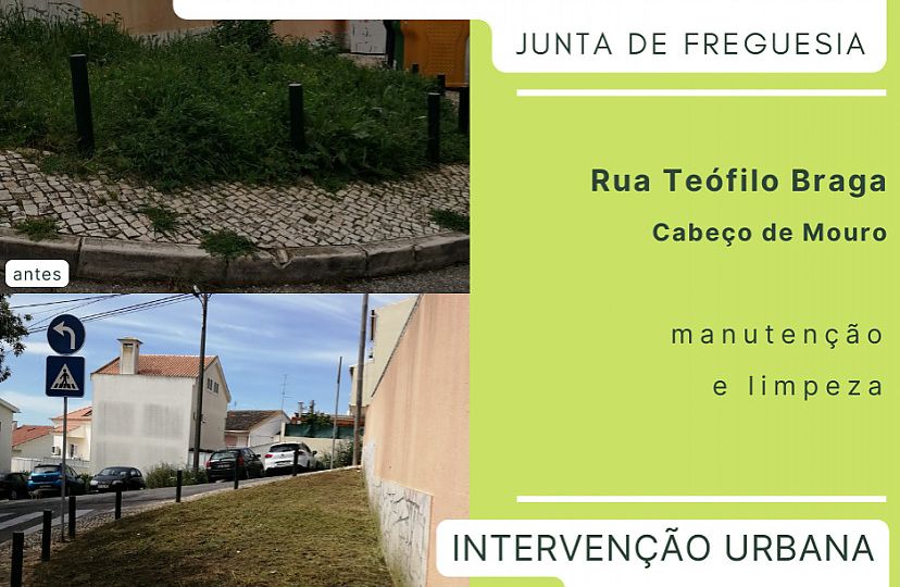 Manutenção e limpeza de espaços verdes em Cabeço de Mouro1