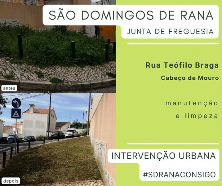 Manutenção e limpeza de espaços verdes em Cabeço de Mouro1