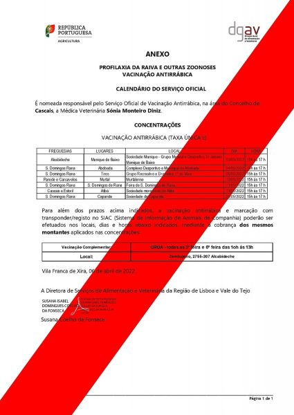 O seu cão tem as vacinas em dia