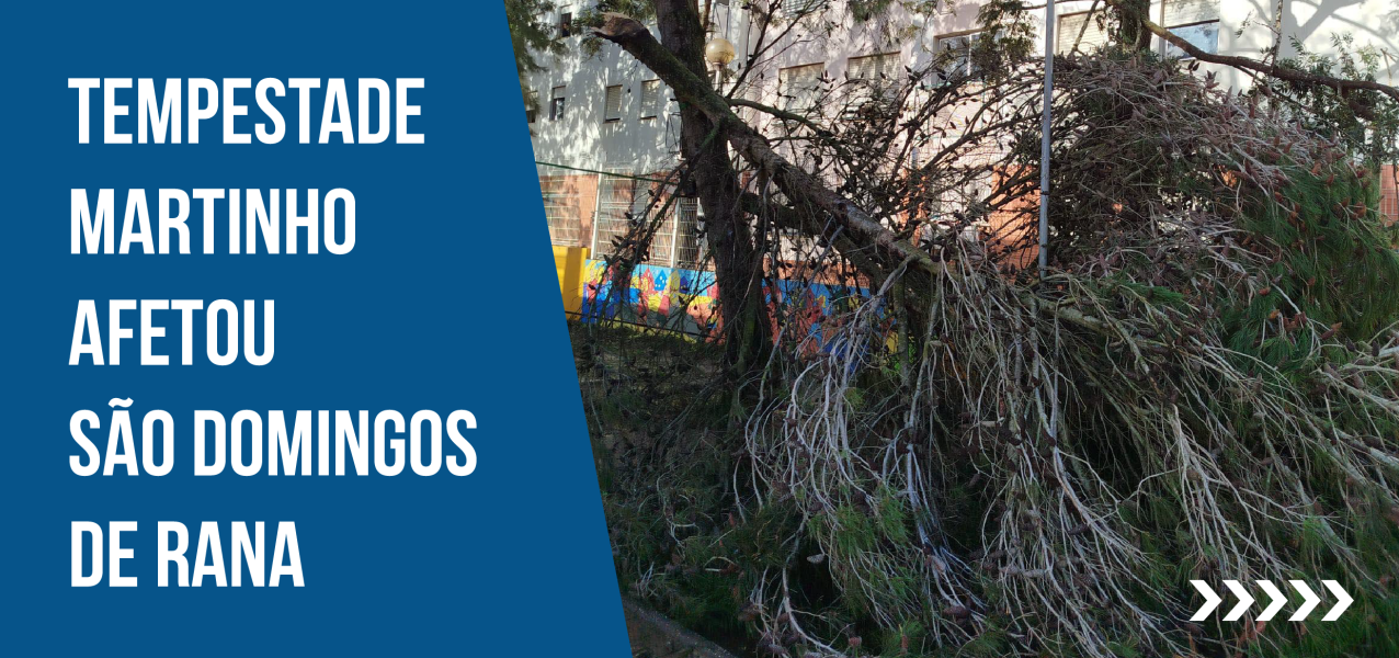 Trabalhos após a tempestade Martinho